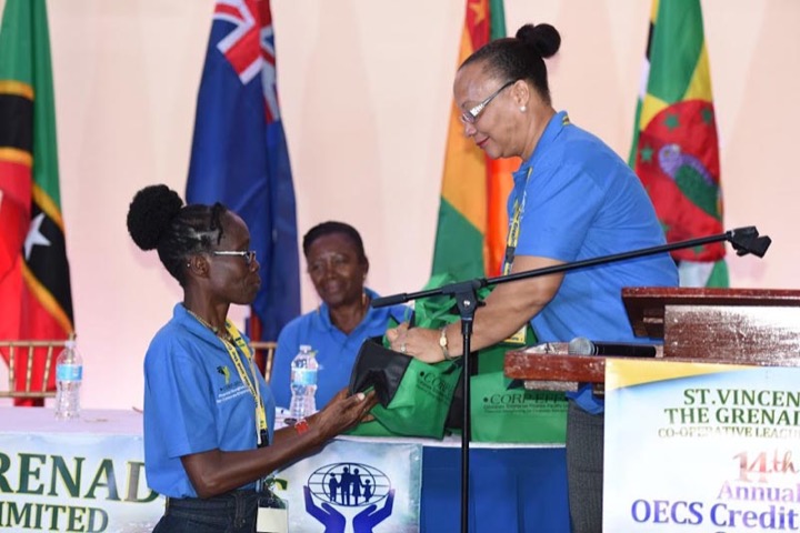 CICL Partners with OECS Summit #16