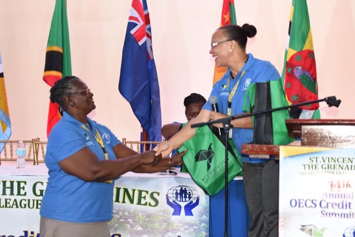 CICL Partners with OECS Summit #17