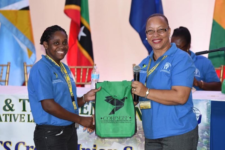CICL Partners with OECS Summit #18