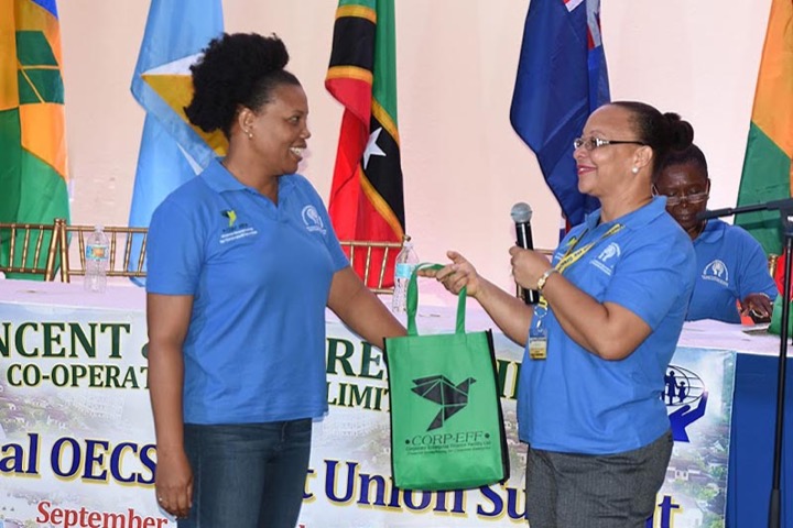 CICL Partners with OECS Summit #19