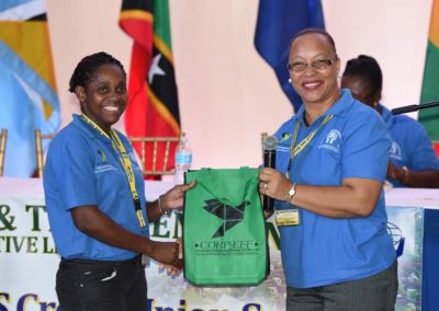CICL Partners with OECS Summit #18